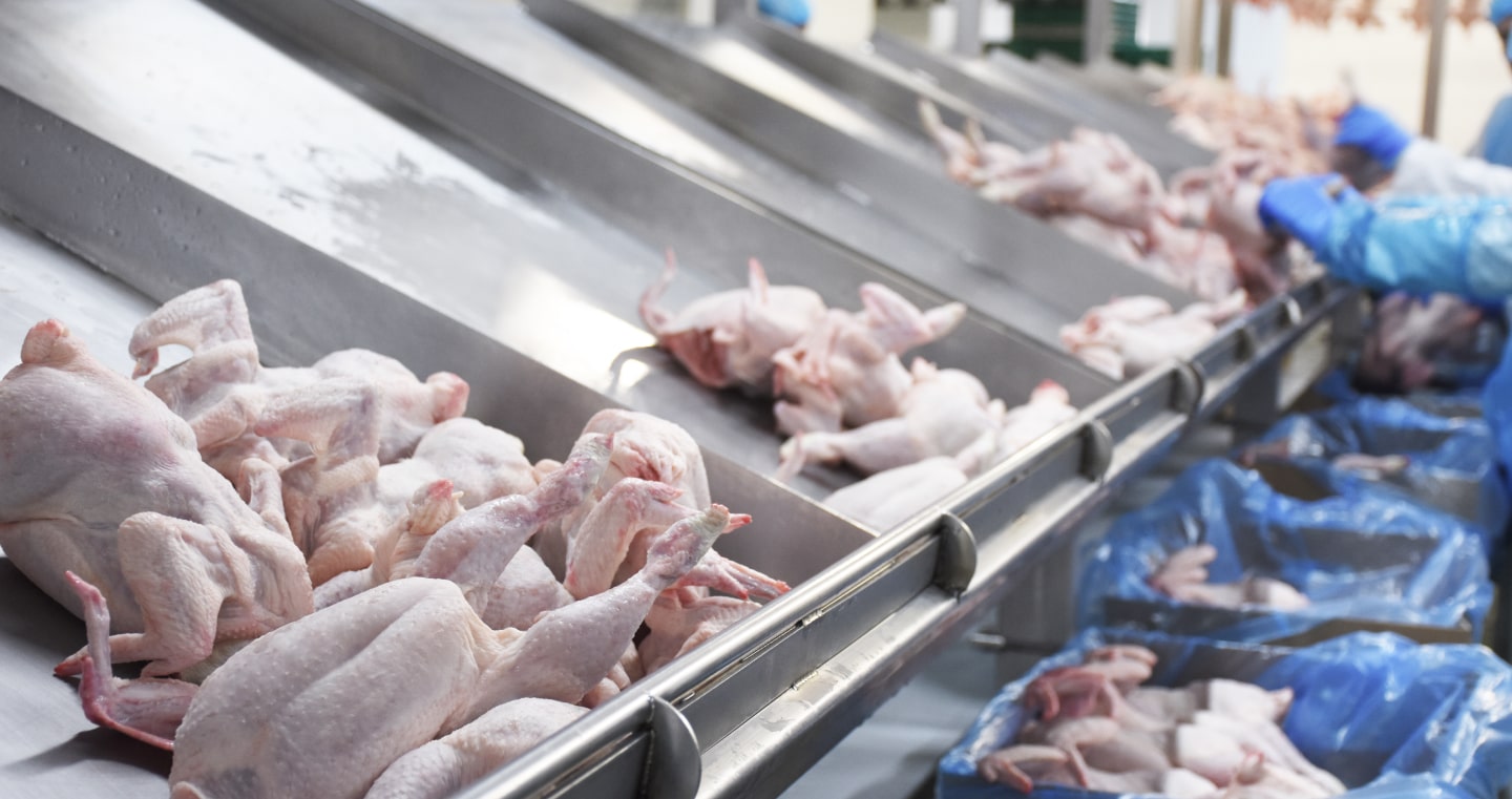 Complete Processing Solutions BAADER Poultry